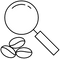 Magnifying glass with coffee beans icon.