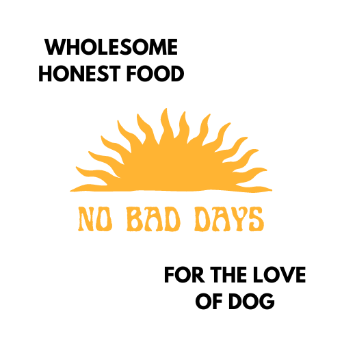 Local Business Spotlight - No Bad Days - Nuts About Life