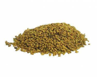Alfalfa Seeds - Nuts About LifeALF514Nuts About Life