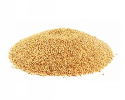 Amaranth - Nuts About LifeAM5160Nuts About Life