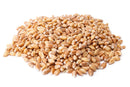 Wheat Grains - Nuts About LifeWHEAT958Nuts About Life